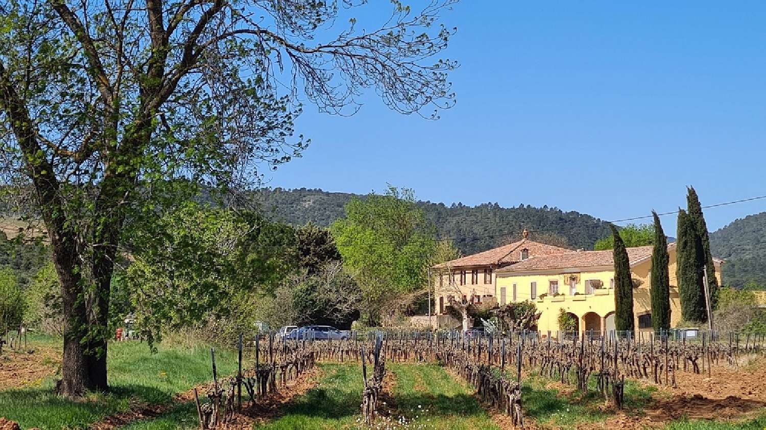 en venta viñedo Le Vibal Aveyron 1