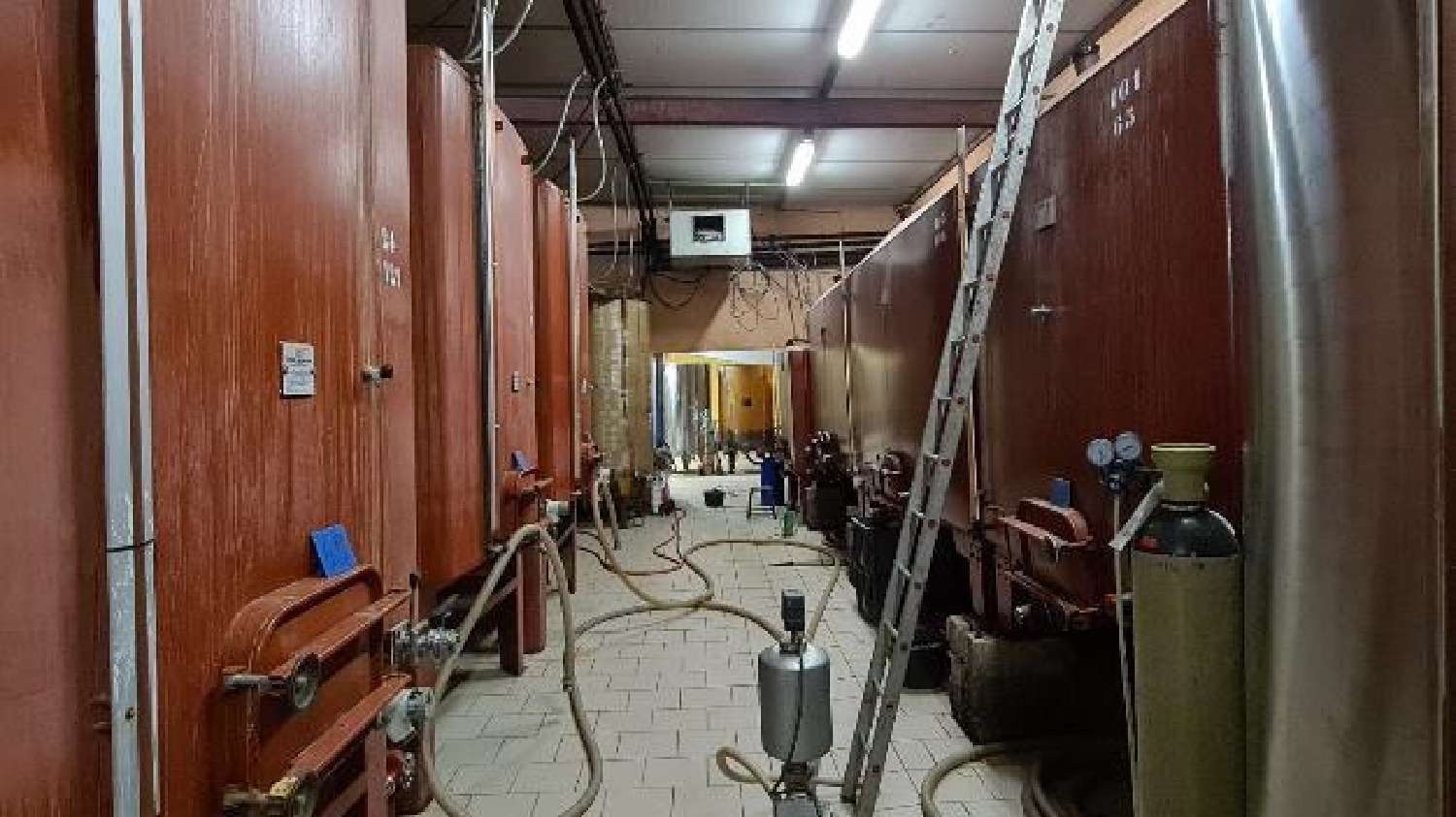 en venta viñedo Le Vibal Aveyron 6