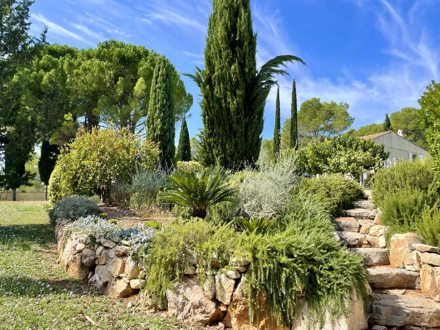 kaufen Weinberg Les Arcs Var 7