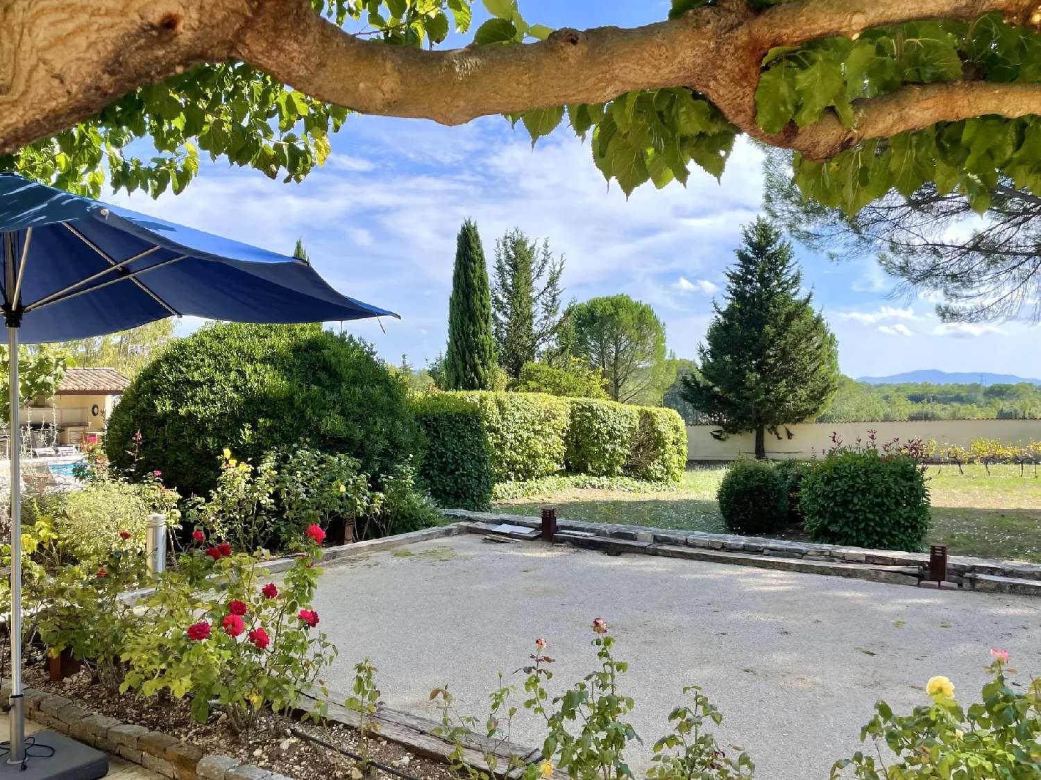 kaufen Weinberg Les Arcs Var 8