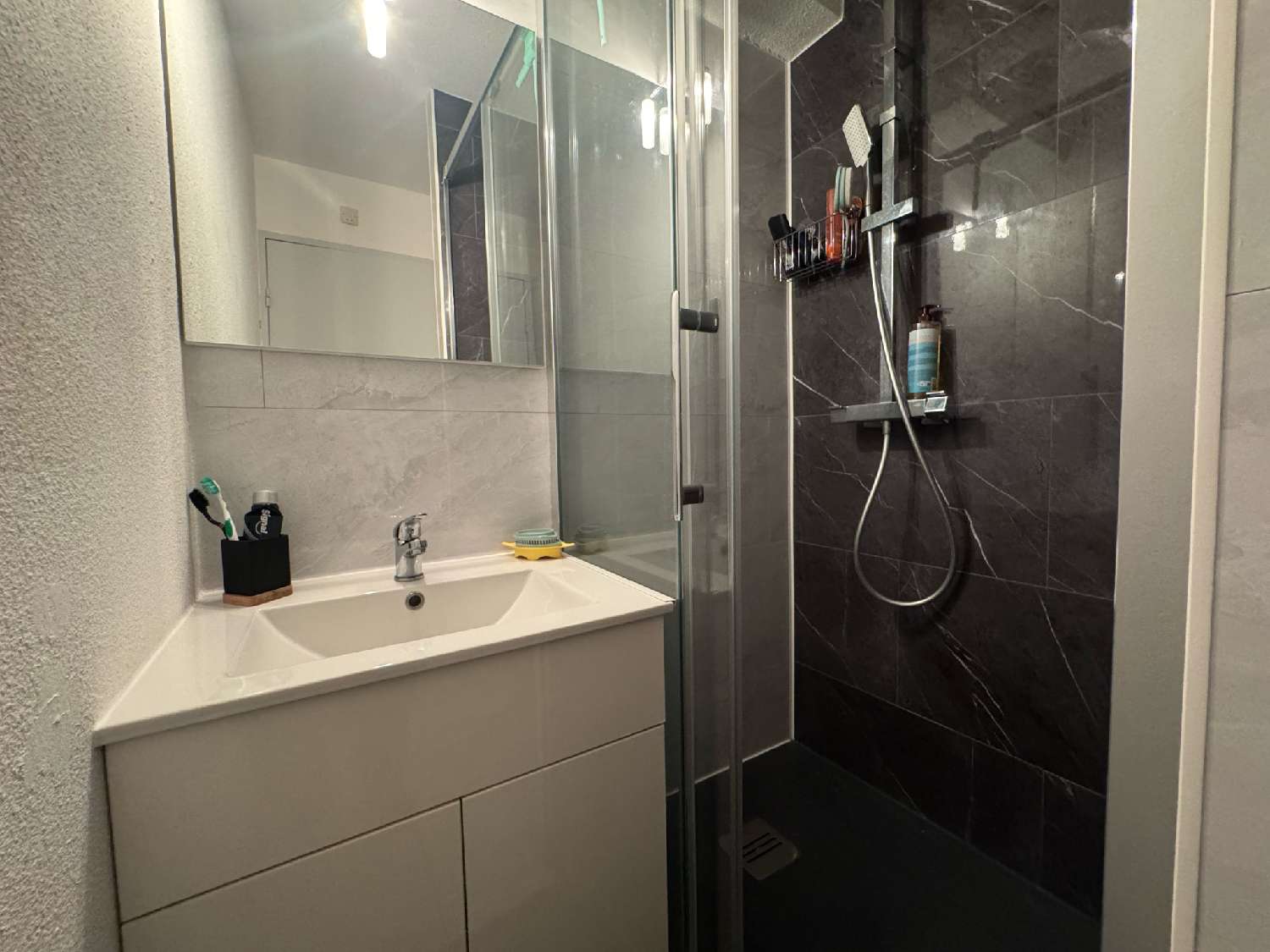 te koop appartement Agde Hérault 8