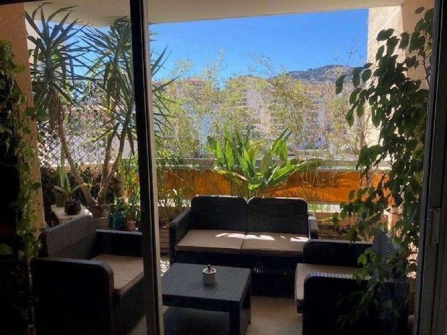 kaufen Wohnung/ Apartment Ajaccio Corse-du-Sud 1