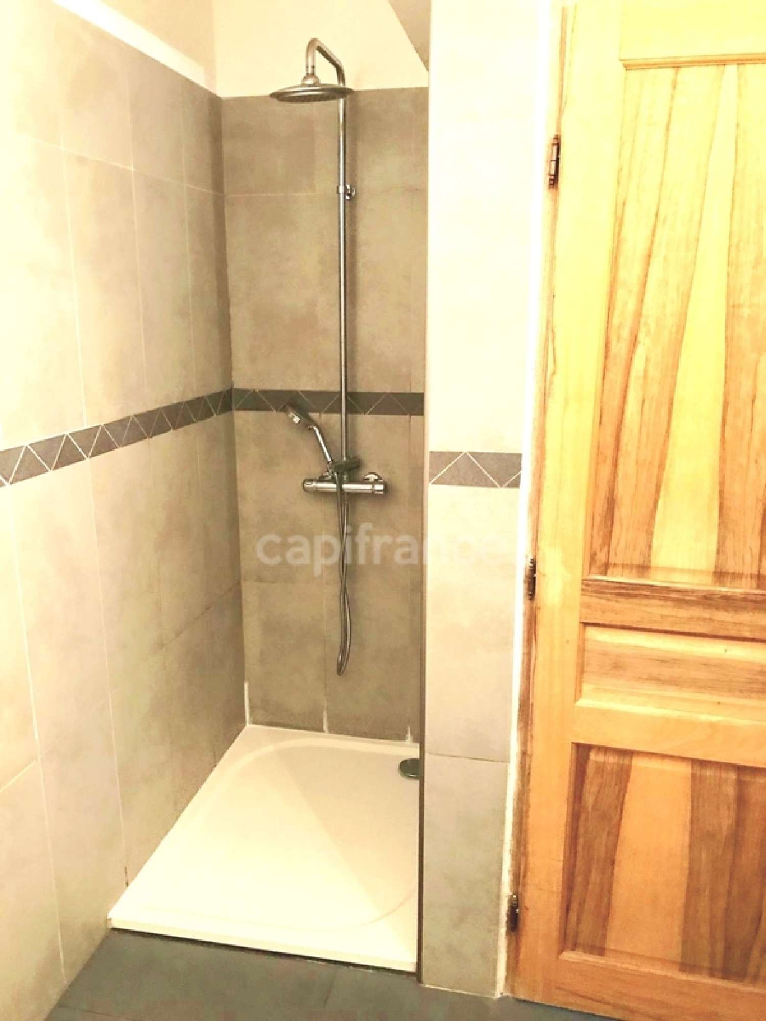  te koop appartement Borgo Haute-Corse 6