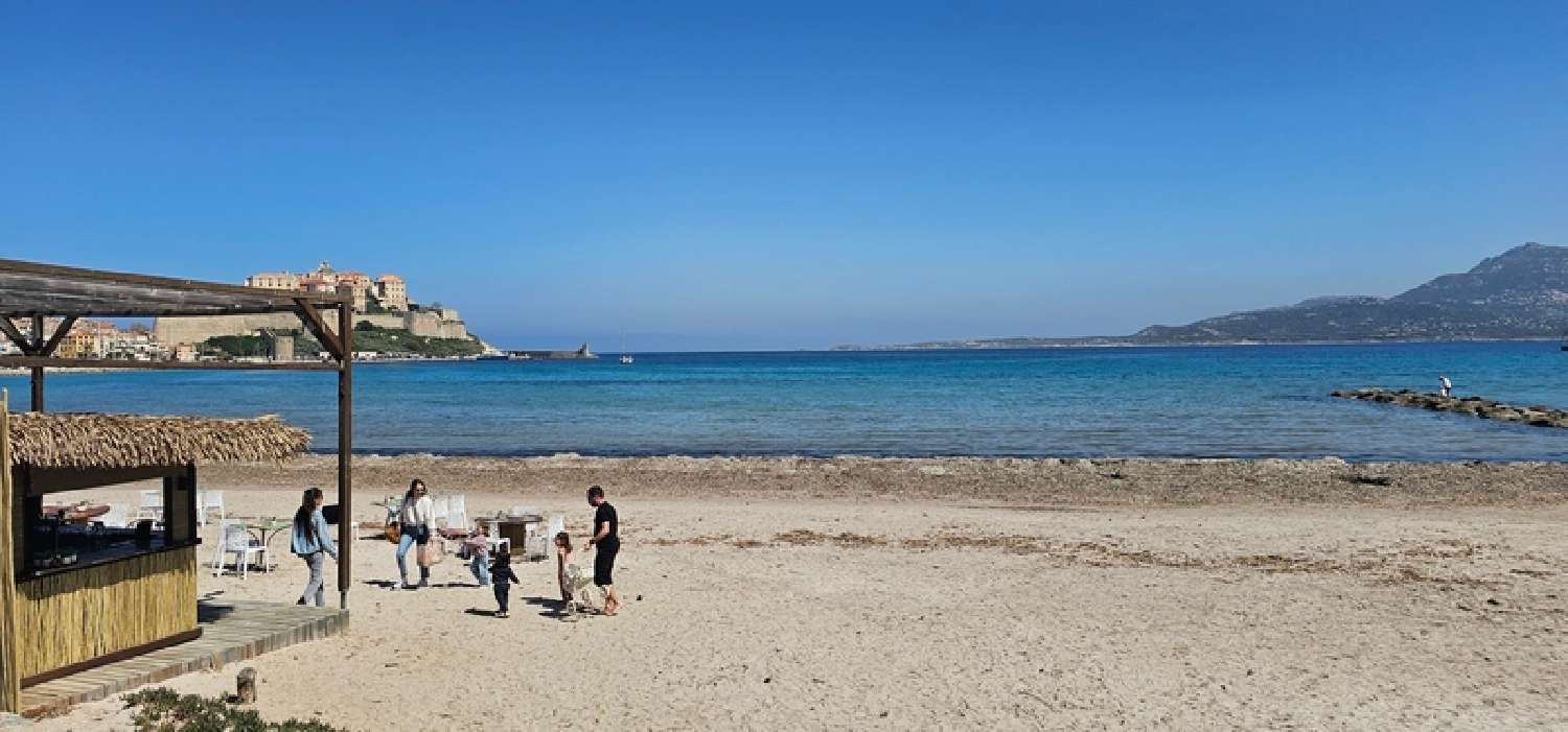  en venta apartamento Calvi Haute-Corse 2