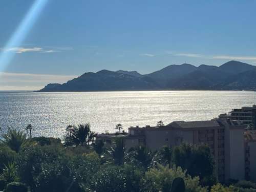 Cannes Alpes-Maritimes Wohnung/ Apartment Bild 7347651