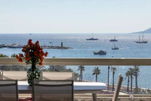 Cannes Alpes-Maritimes appartement foto 7327446