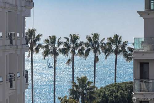 Cannes Alpes-Maritimes apartment foto 7327577