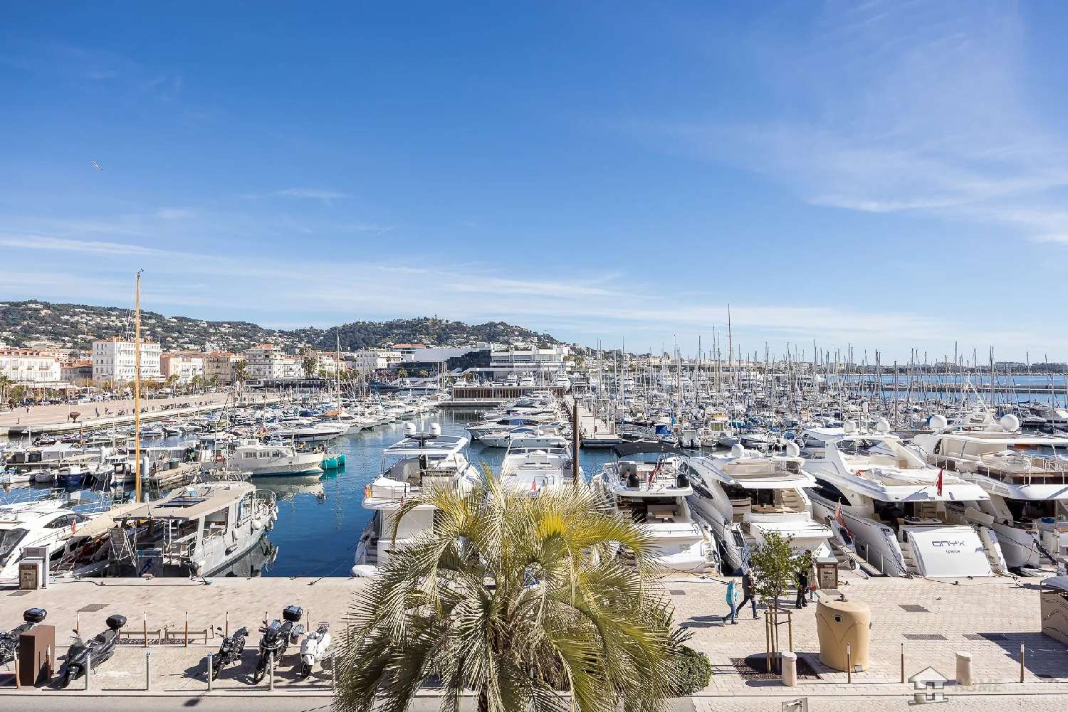  for sale apartment Cannes Alpes-Maritimes 2