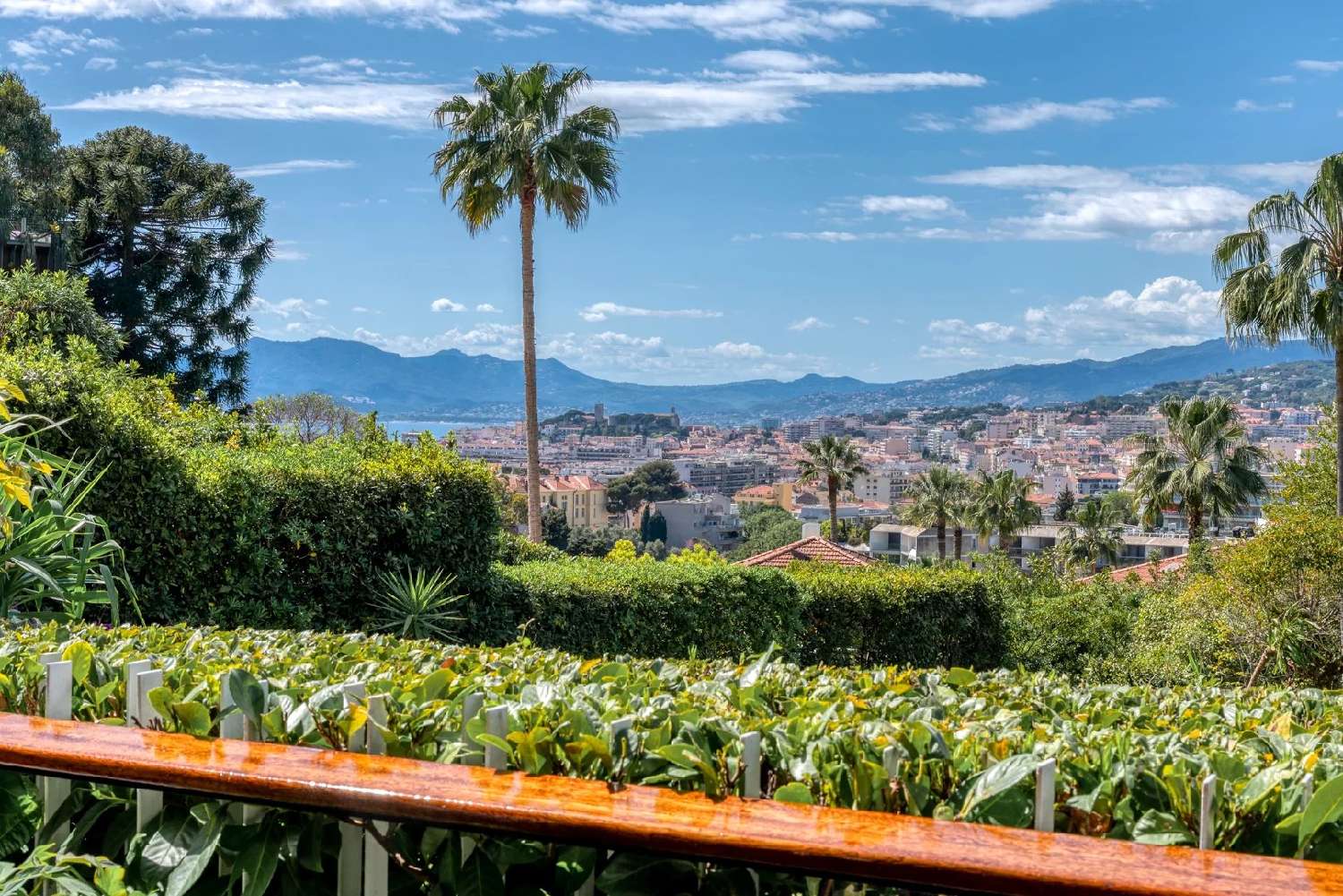  for sale apartment Cannes Alpes-Maritimes 1