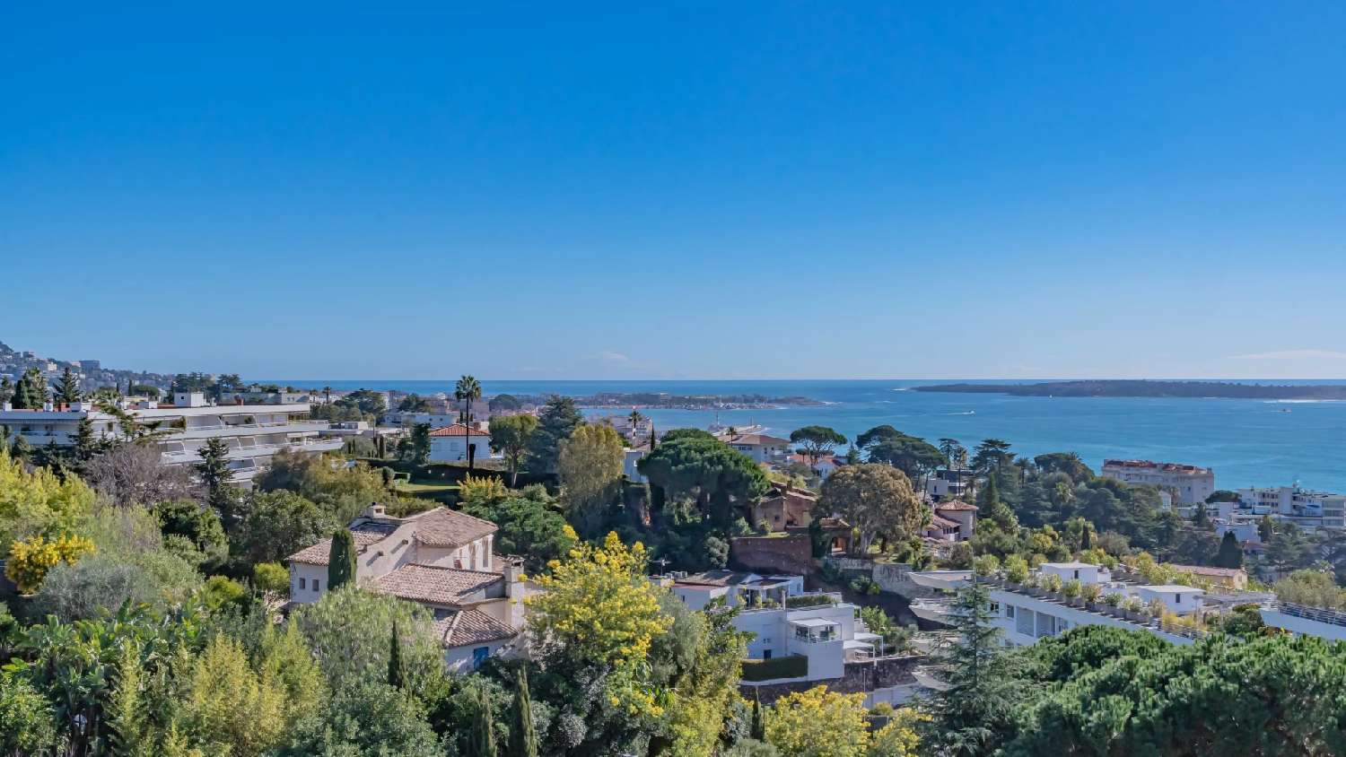 for sale apartment Cannes Alpes-Maritimes 3
