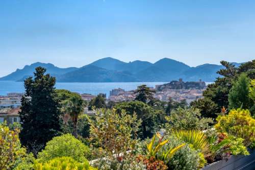Cannes Alpes-Maritimes appartement foto 7337782