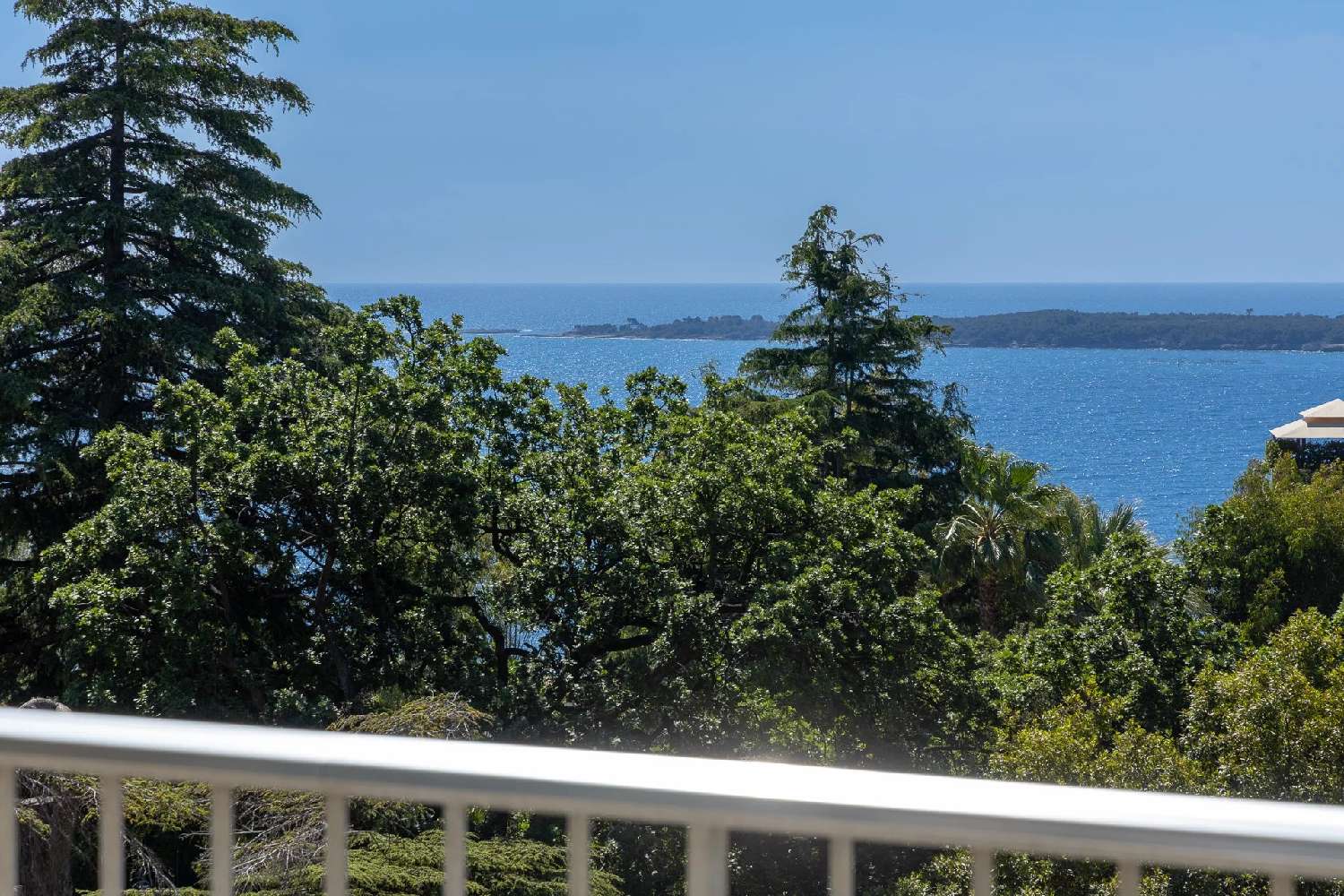 à vendre appartement Cannes Alpes-Maritimes 8