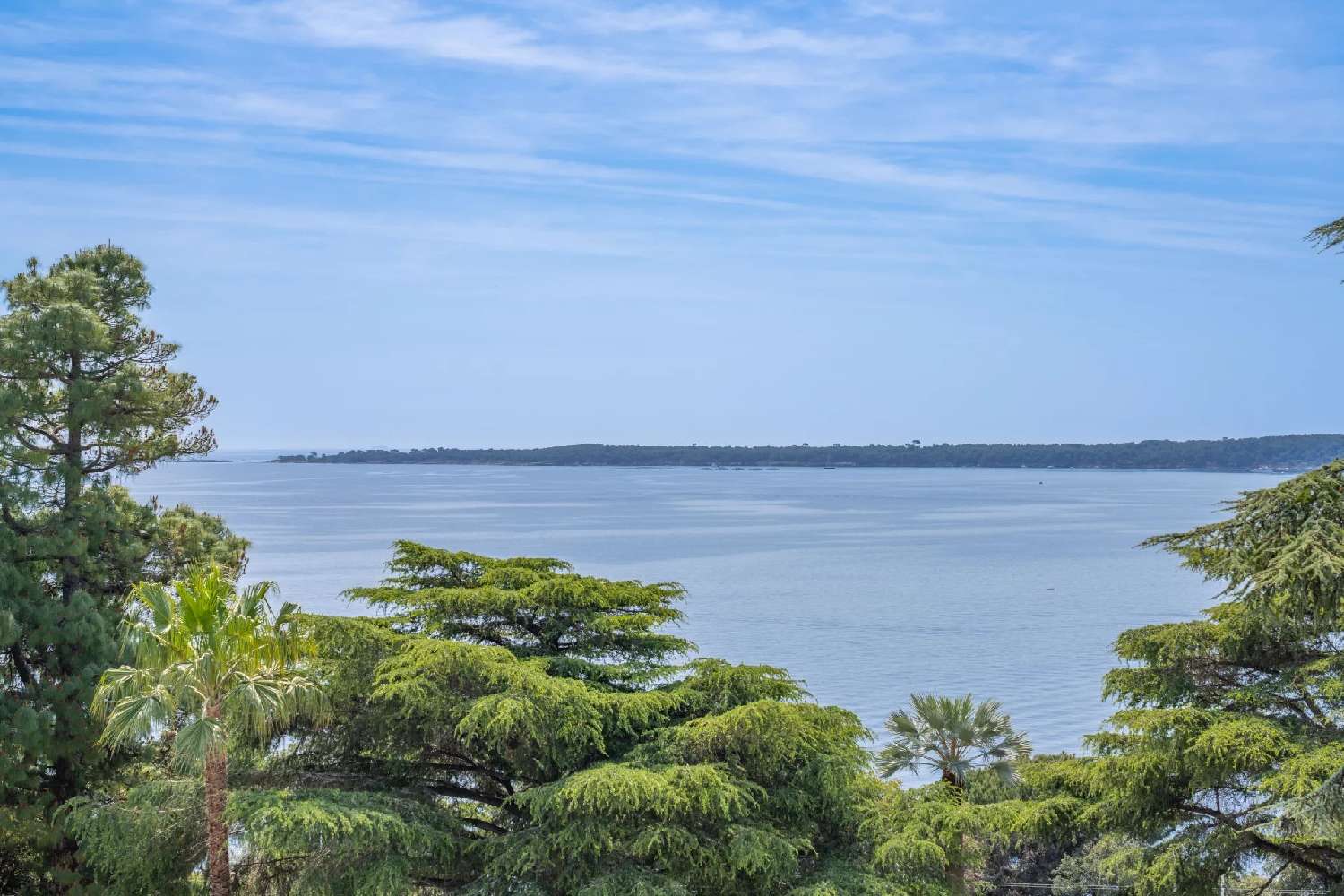à vendre appartement Cannes Alpes-Maritimes 6