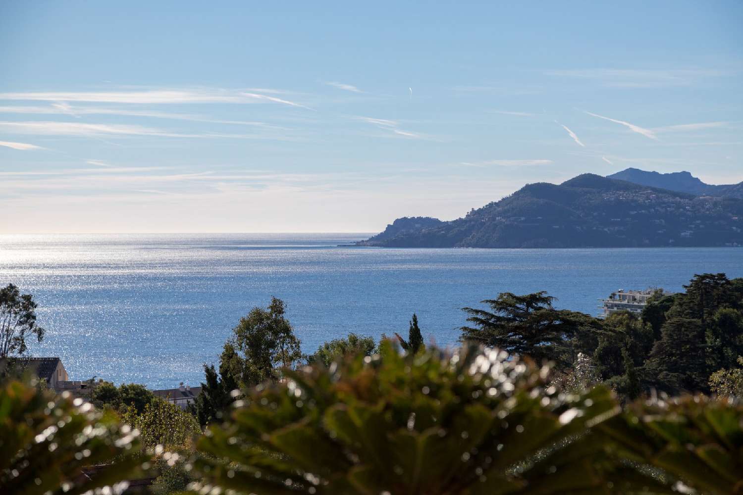 à vendre appartement Cannes Alpes-Maritimes 1