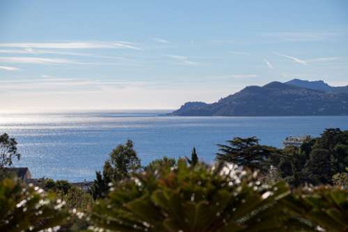 Cannes Alpes-Maritimes appartement foto 7342040