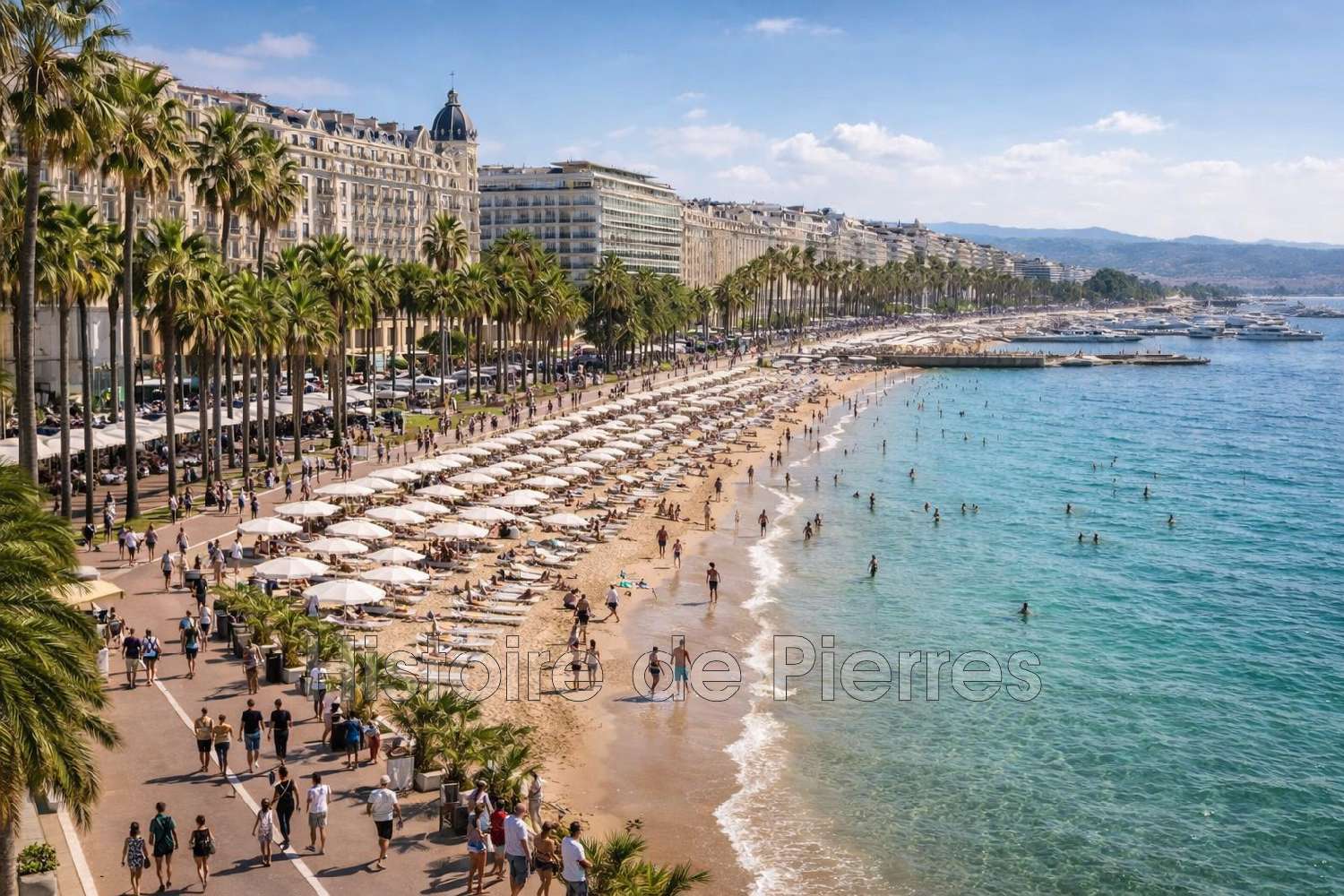  te koop appartement Cannes Alpes-Maritimes 1