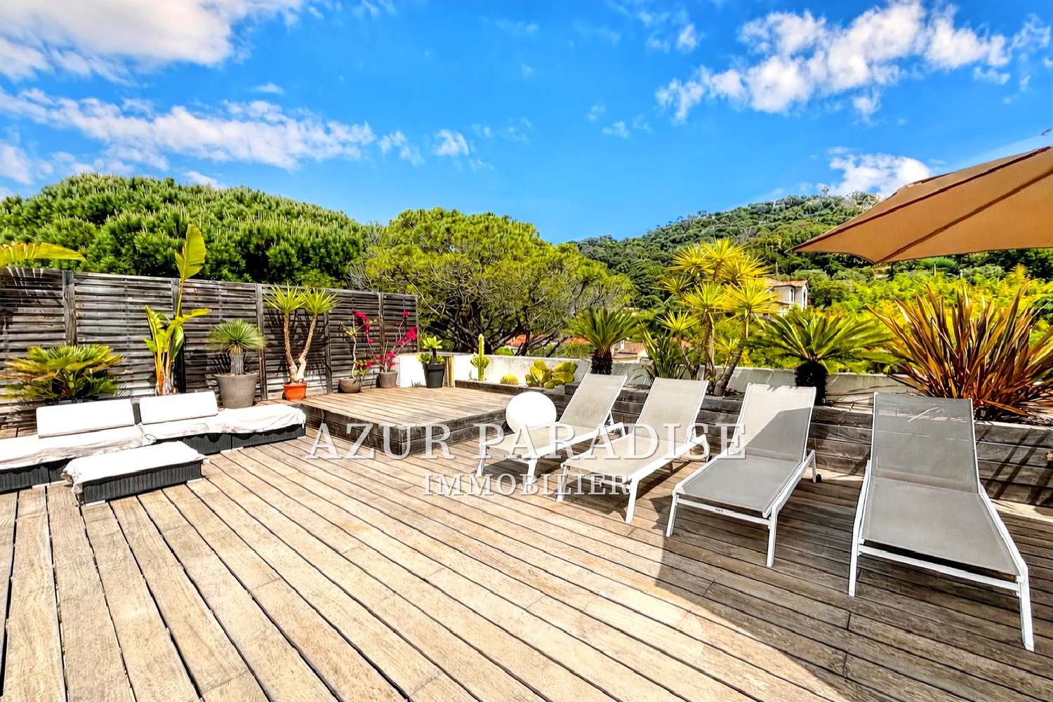 for sale apartment Cannes Alpes-Maritimes 1