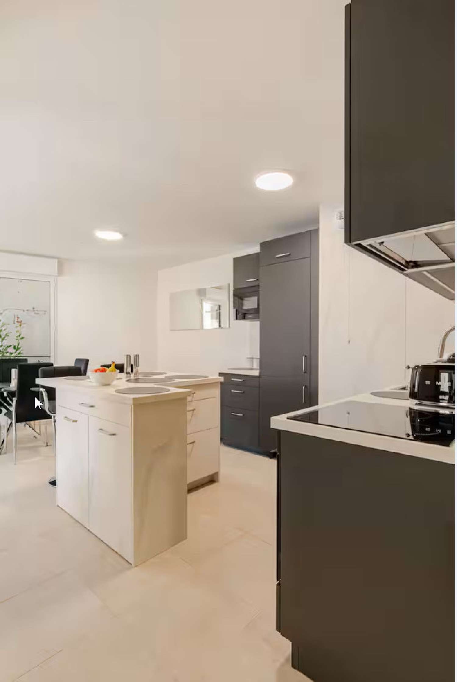  te koop appartement Cannes Alpes-Maritimes 4