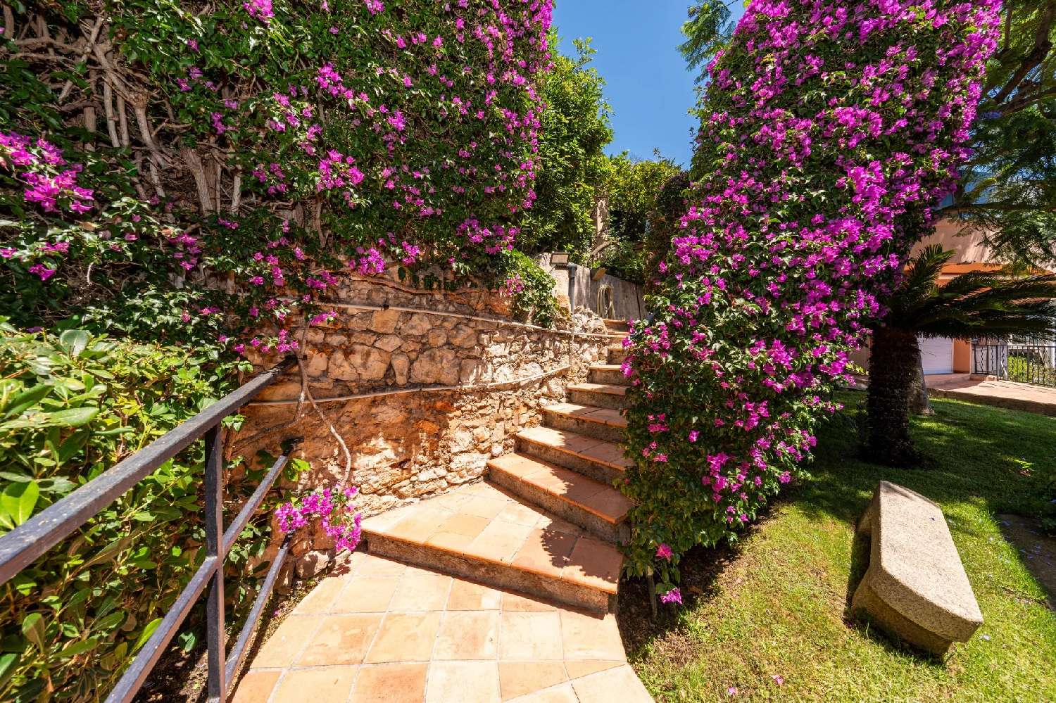  à vendre appartement Cap-d'Ail Alpes-Maritimes 2