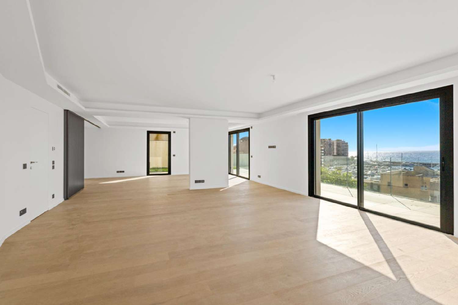 à vendre appartement Cap-d'Ail Alpes-Maritimes 3