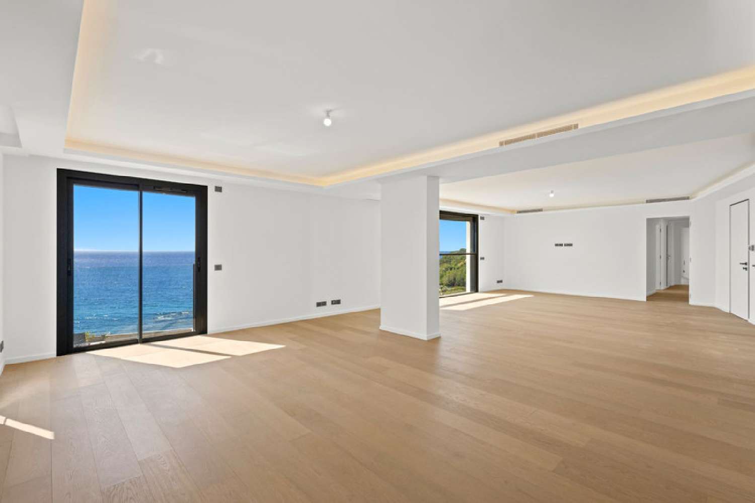 à vendre appartement Cap-d'Ail Alpes-Maritimes 2