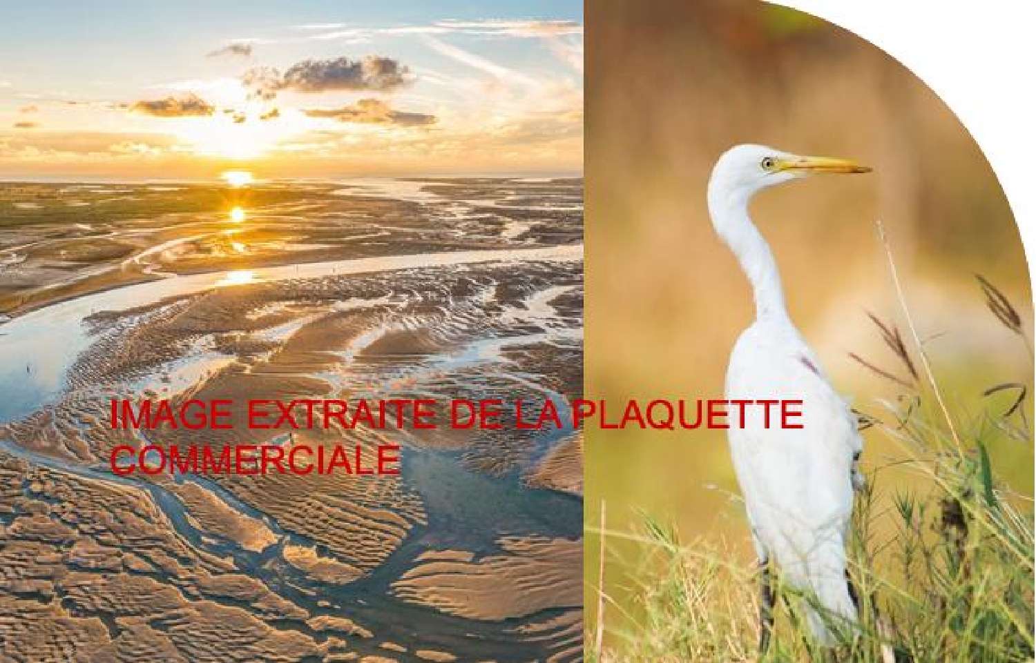 kaufen Wohnung/ Apartment Cayeux-sur-Mer Somme 4