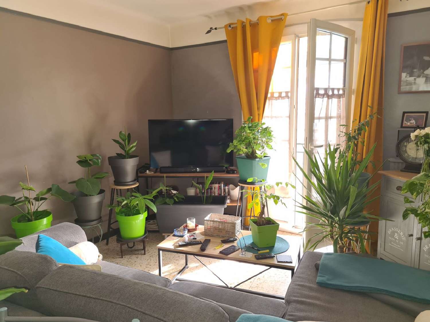  à vendre appartement Céret Pyrénées-Orientales 3