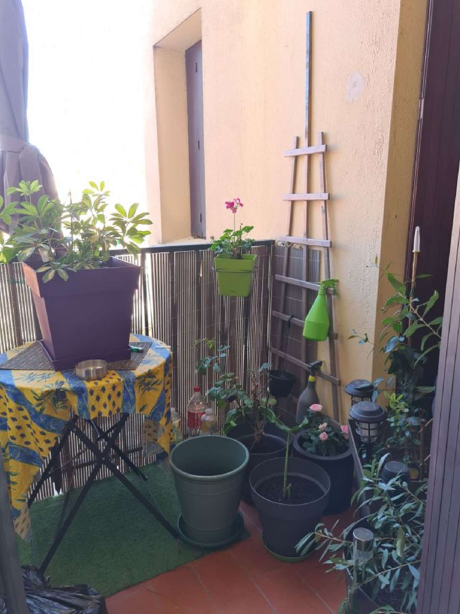  à vendre appartement Céret Pyrénées-Orientales 5