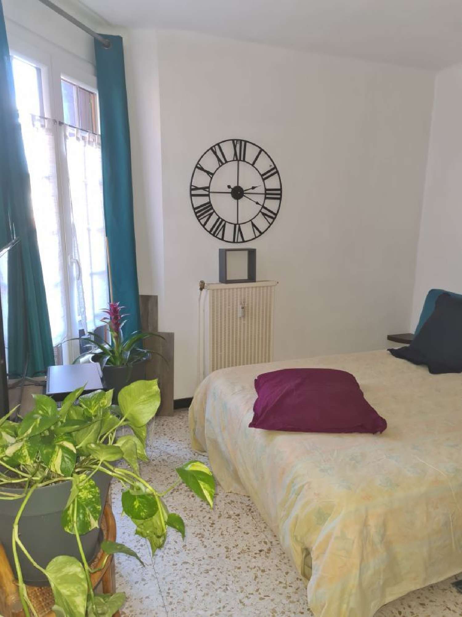  te koop appartement Céret Pyrénées-Orientales 1