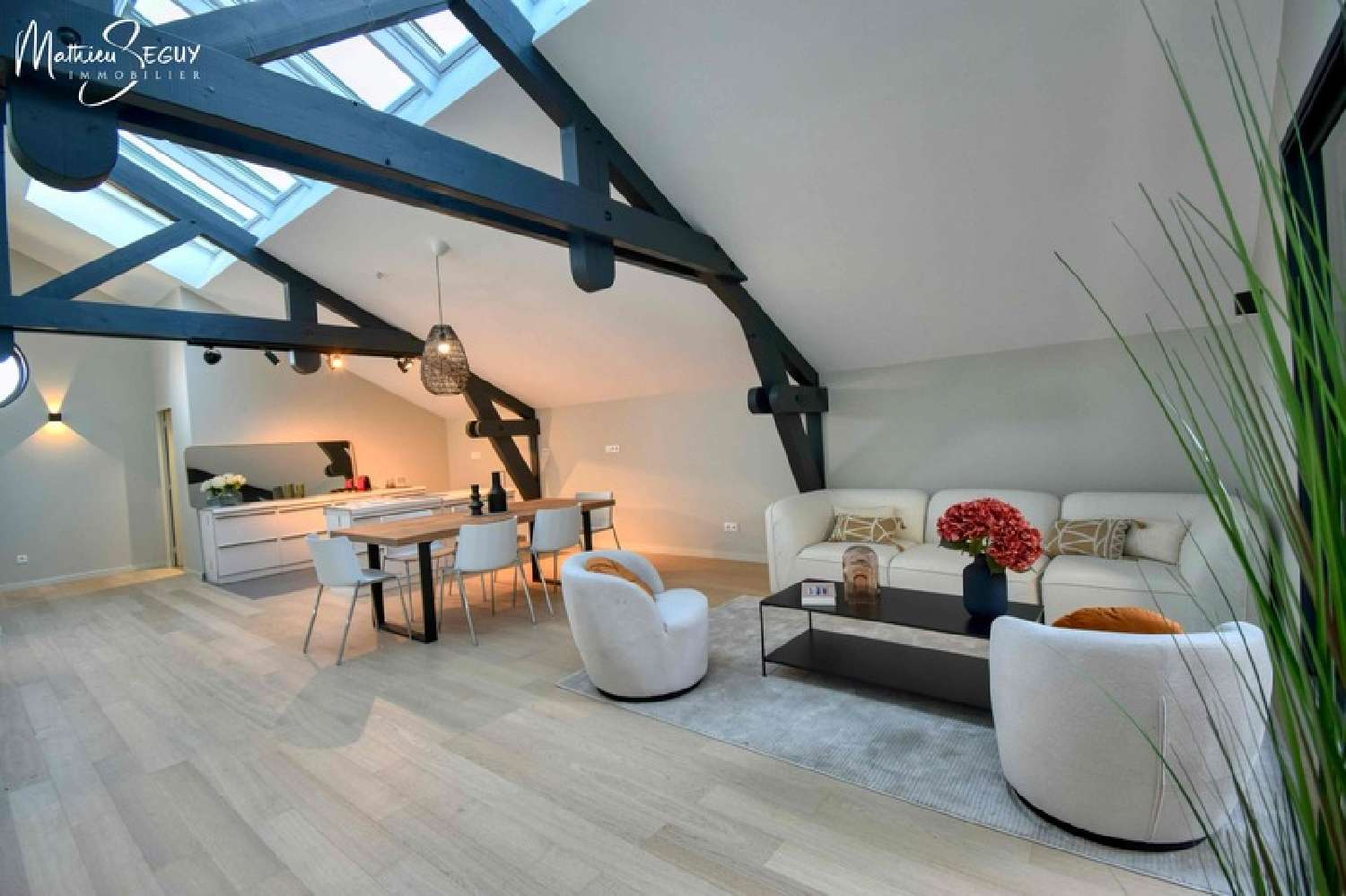  te koop appartement Craponne Rhône 5