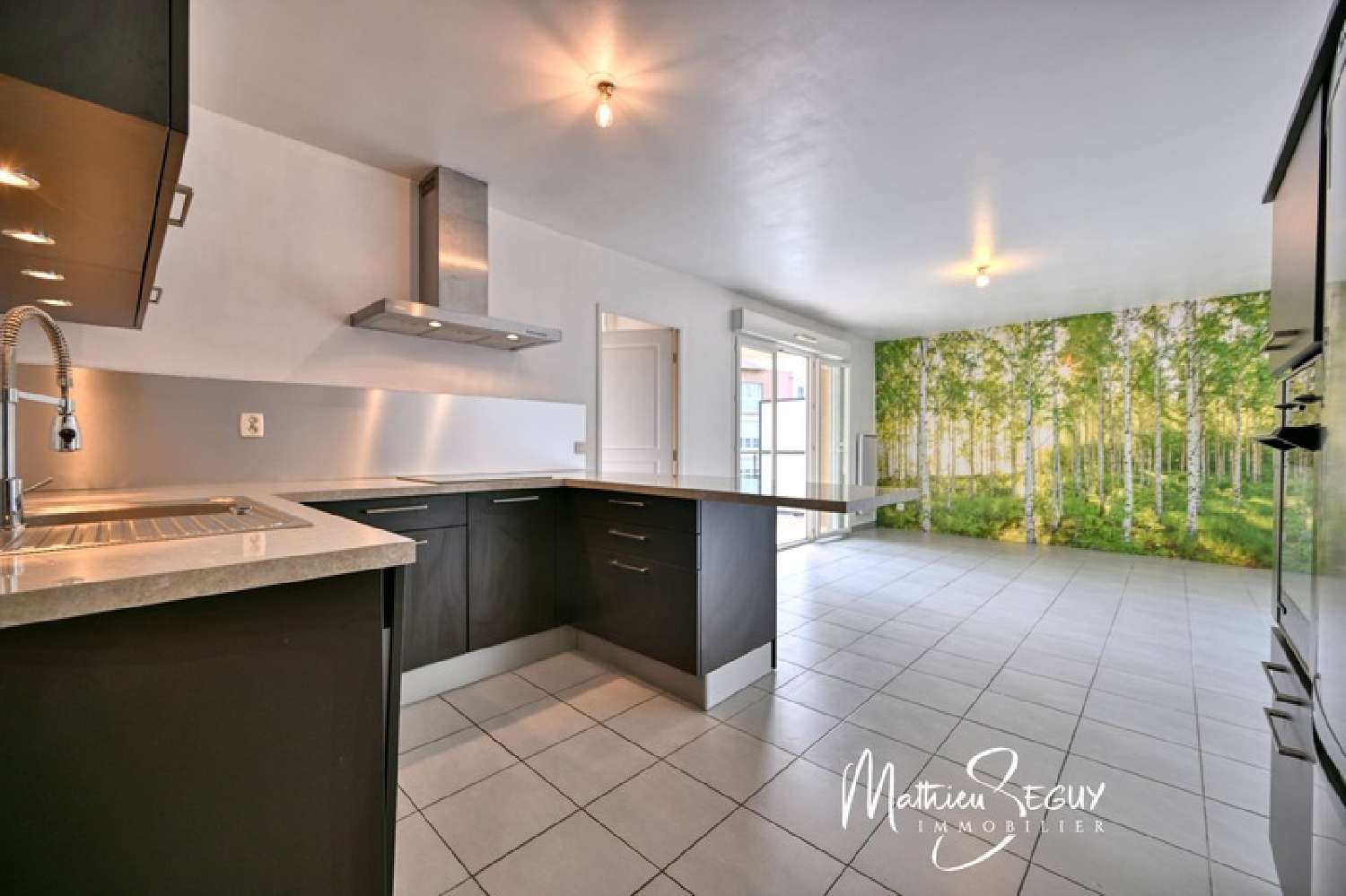 for sale apartment Craponne Rhône 6