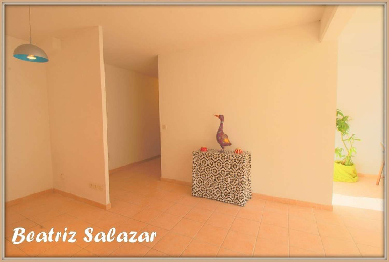  for sale apartment Digne-Les-Bains Alpes-de-Haute-Provence 8