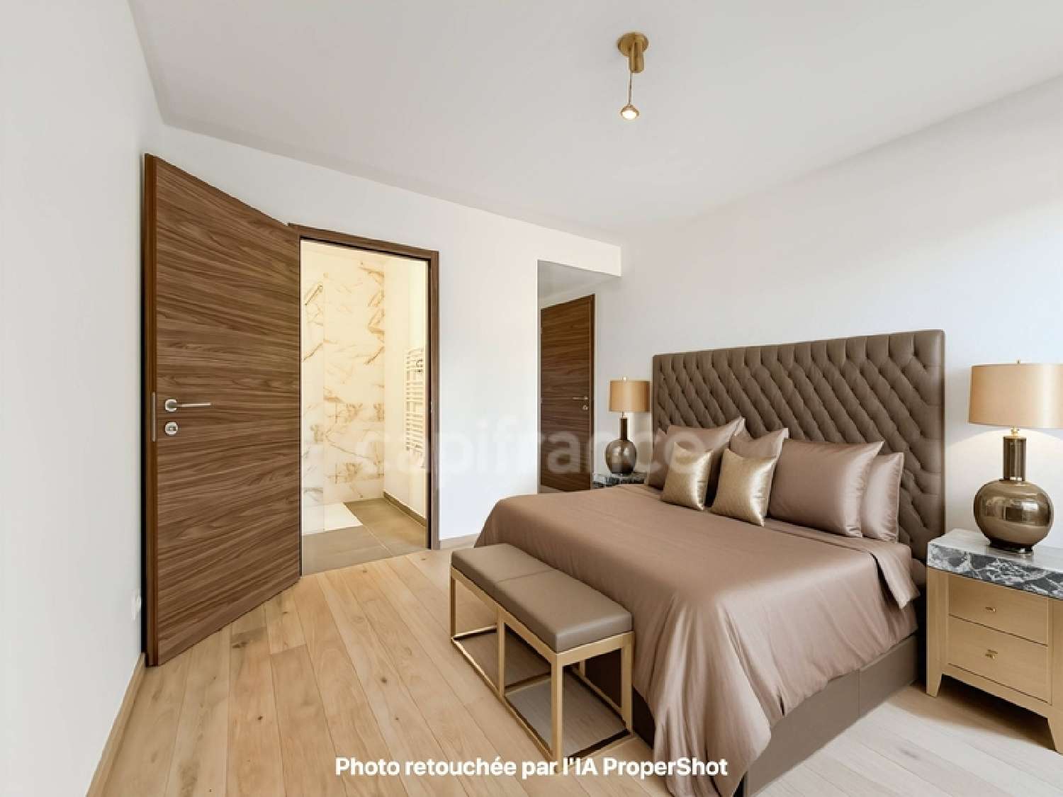  à vendre appartement Divonne-les-Bains Ain 6