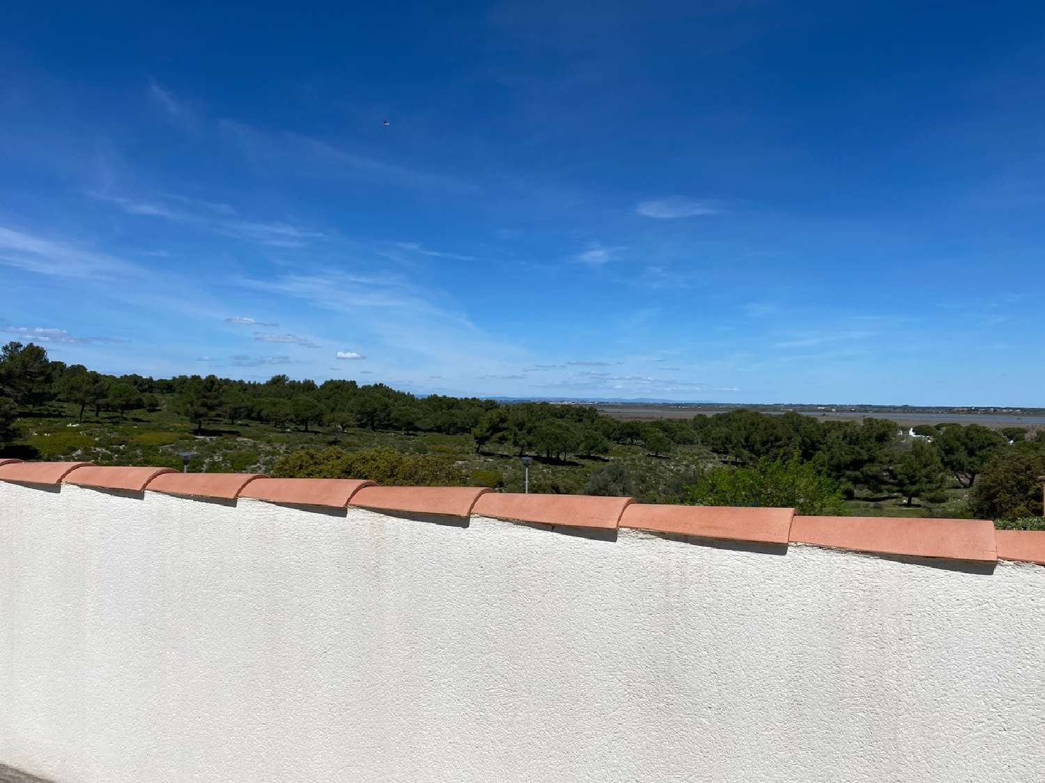 te koop appartement Fleury-d'Aude Aude 2