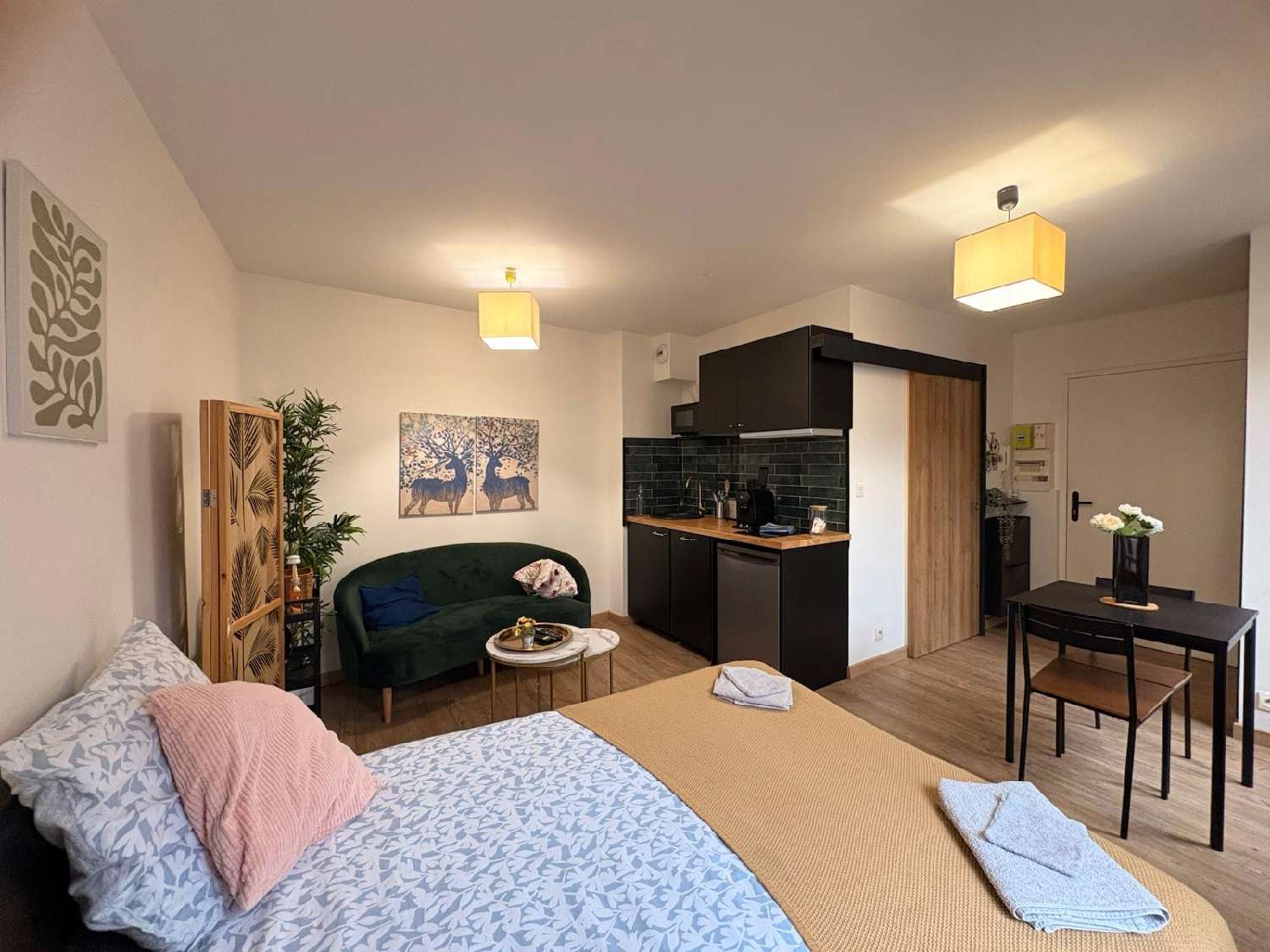  à vendre appartement Fronton Haute-Garonne 2