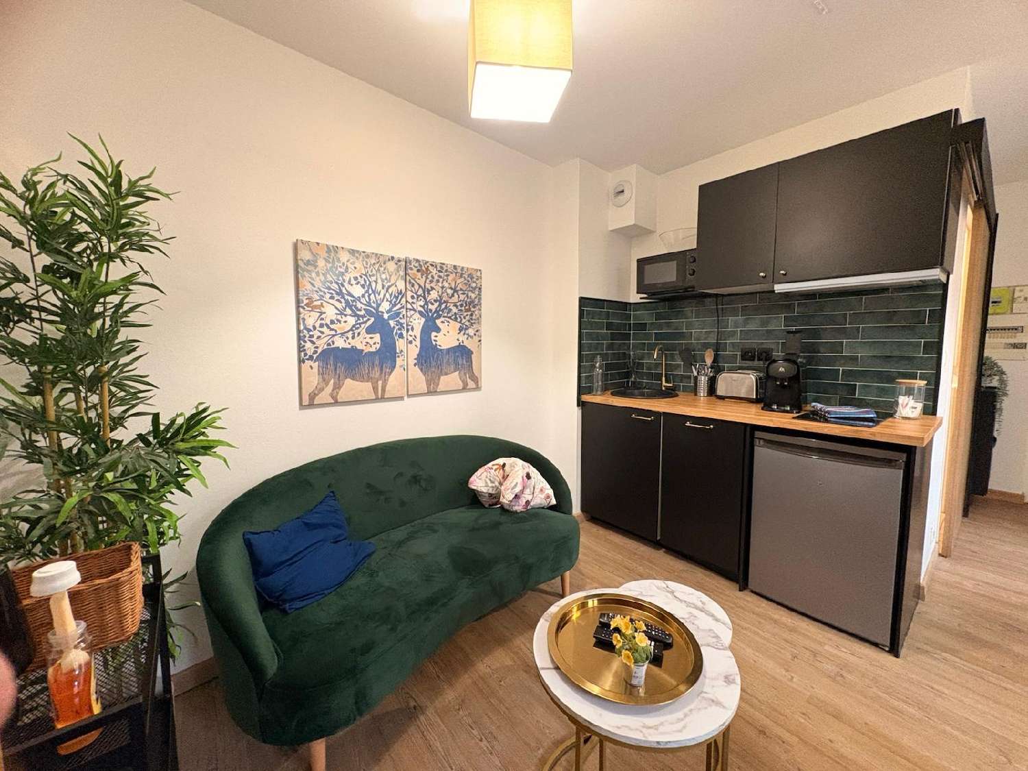  à vendre appartement Fronton Haute-Garonne 5