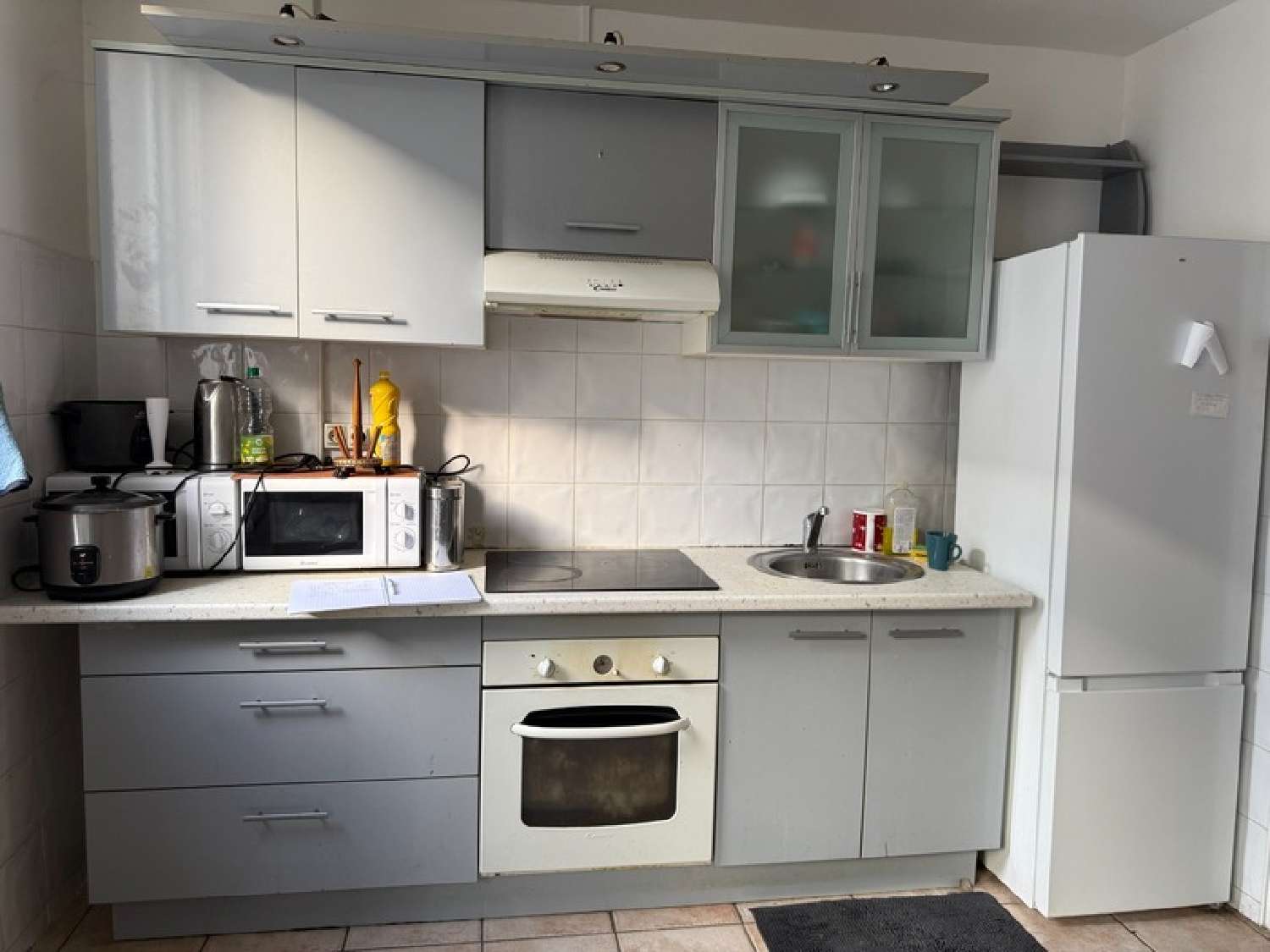  te koop appartement Grenoble 38100 Isère 4