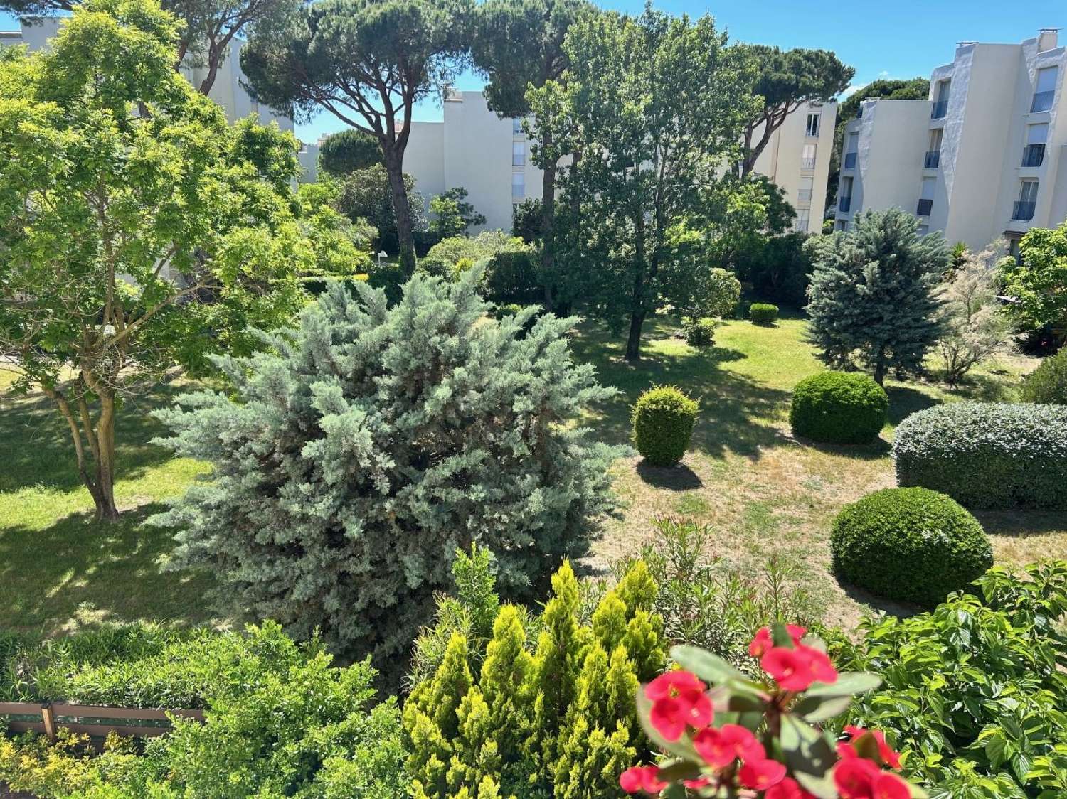  te koop appartement La Grande Motte Hérault 5