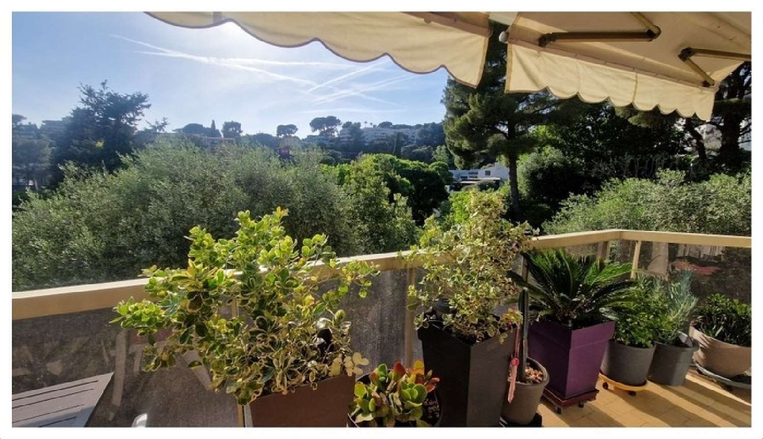  te koop appartement Le Cannet Alpes-Maritimes 5