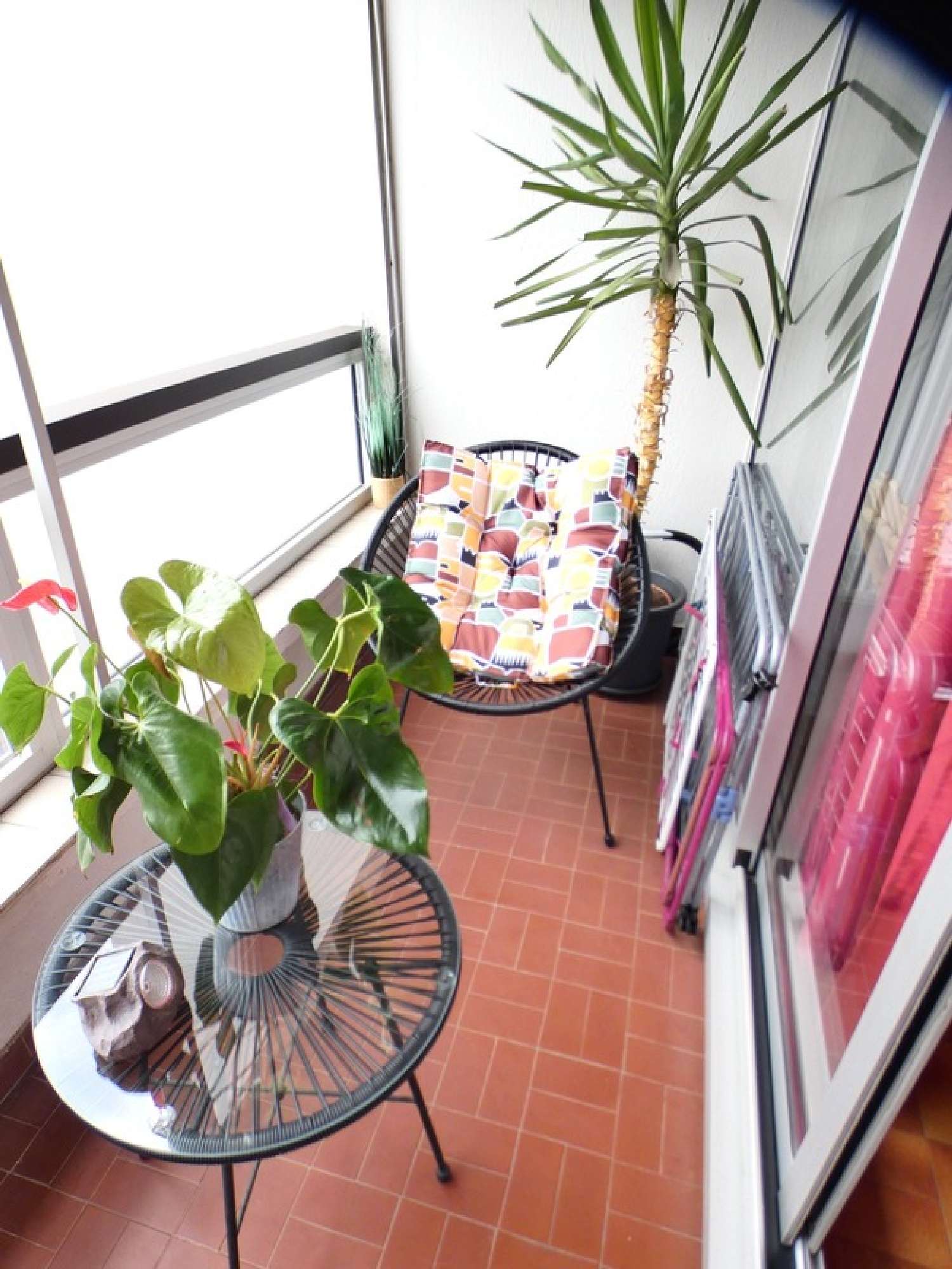  à vendre appartement Le Cap d'Agde Hérault 2