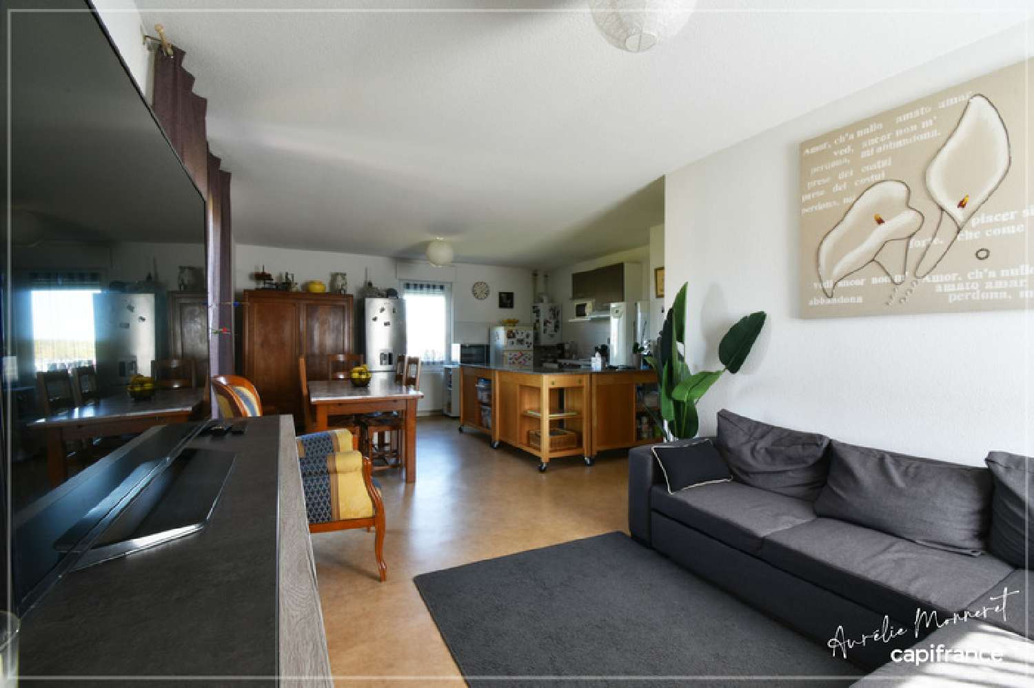 te koop appartement Le Châtelet Cher 8
