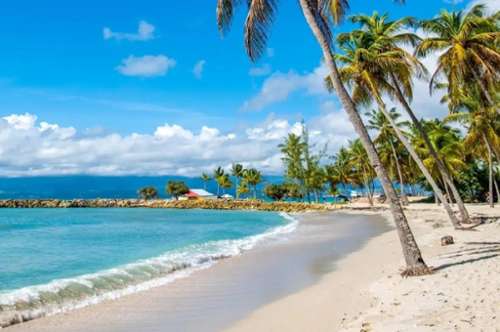 Le Gosier Guadeloupe Wohnung/ Apartment Bild 7347947