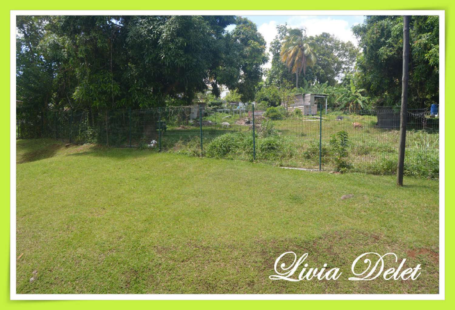 à vendre appartement Le Lamentin Martinique 3