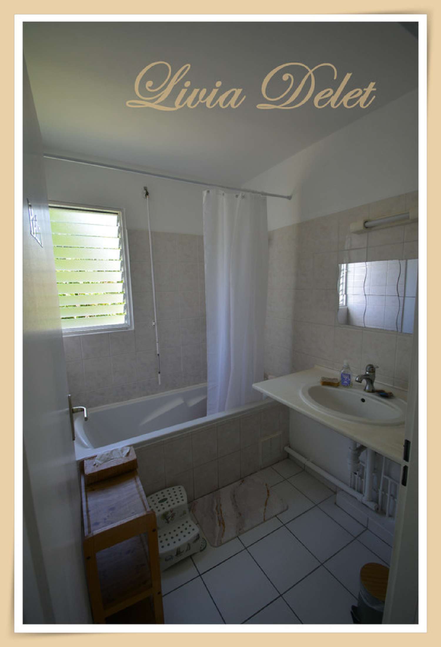  à vendre appartement Le Lamentin Martinique 7