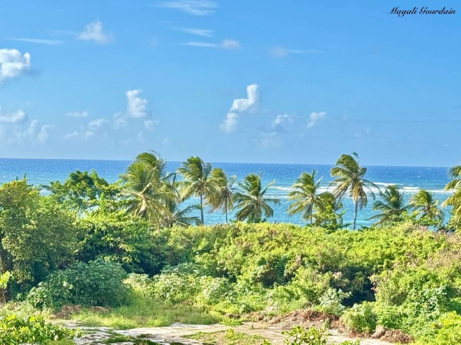 te koop appartement Le Moule Guadeloupe 4