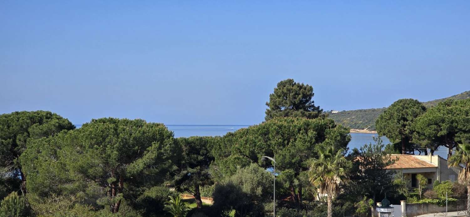  te koop appartement Lopigna Corse-du-Sud 1
