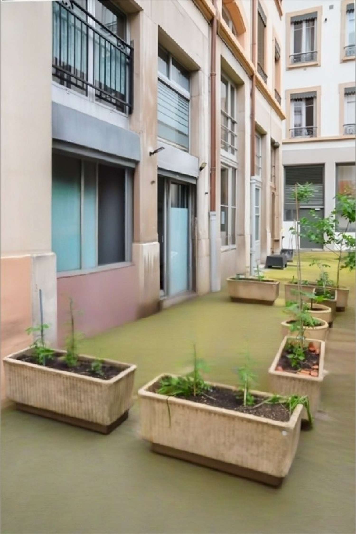 te koop appartement Lyon 6e Arrondissement Rhône 1
