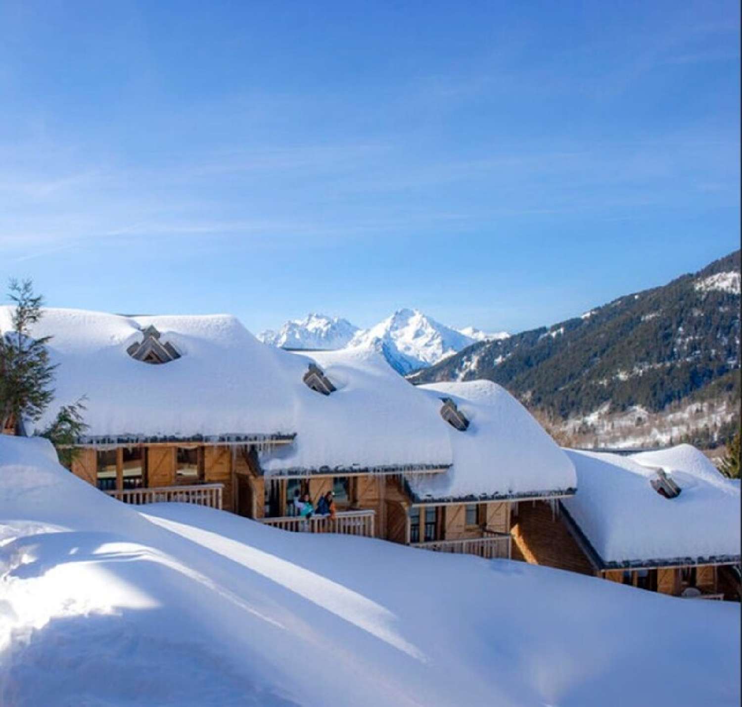  à vendre appartement Montaimont Savoie 1
