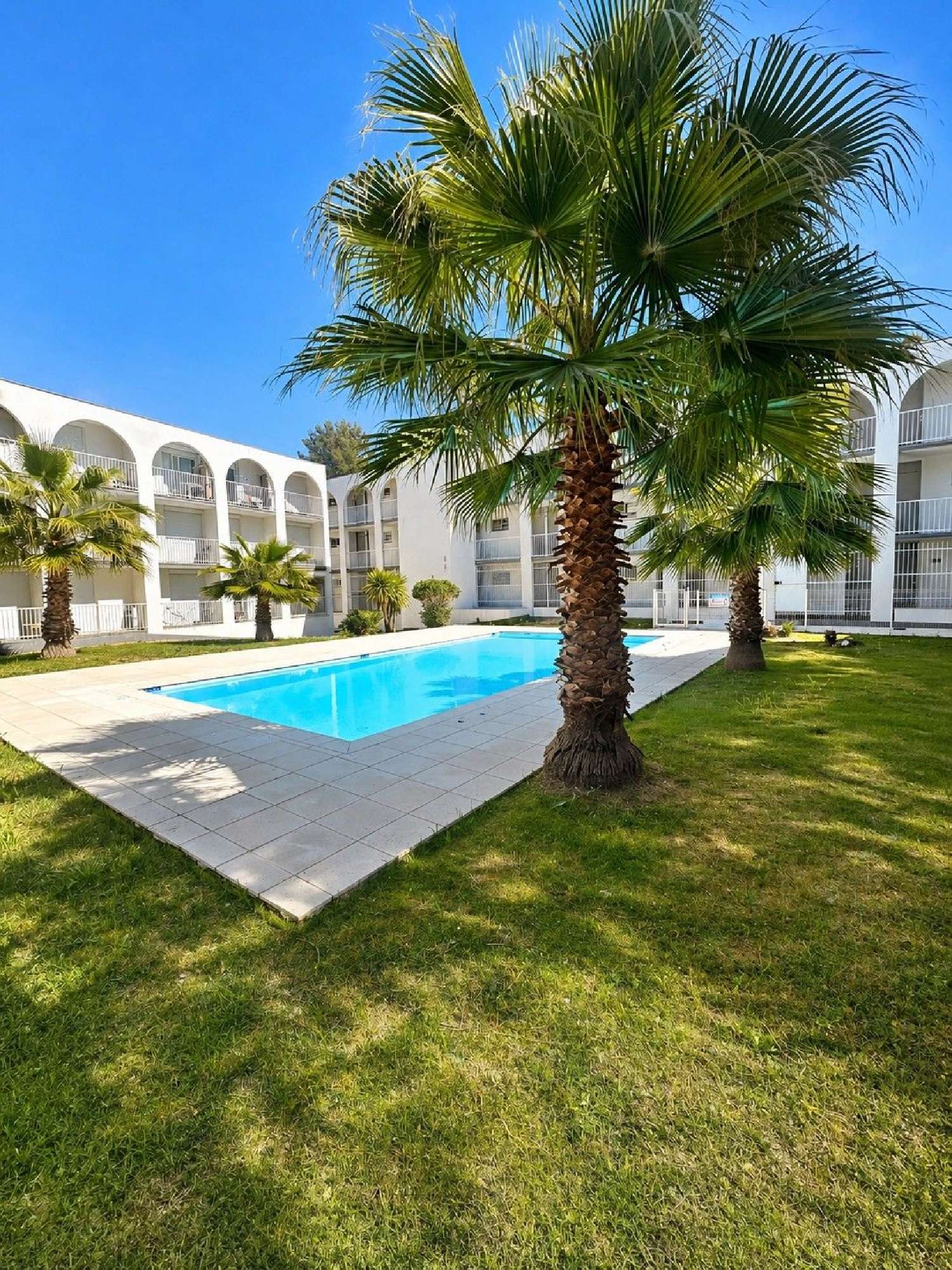  te koop appartement Montpellier Hérault 1