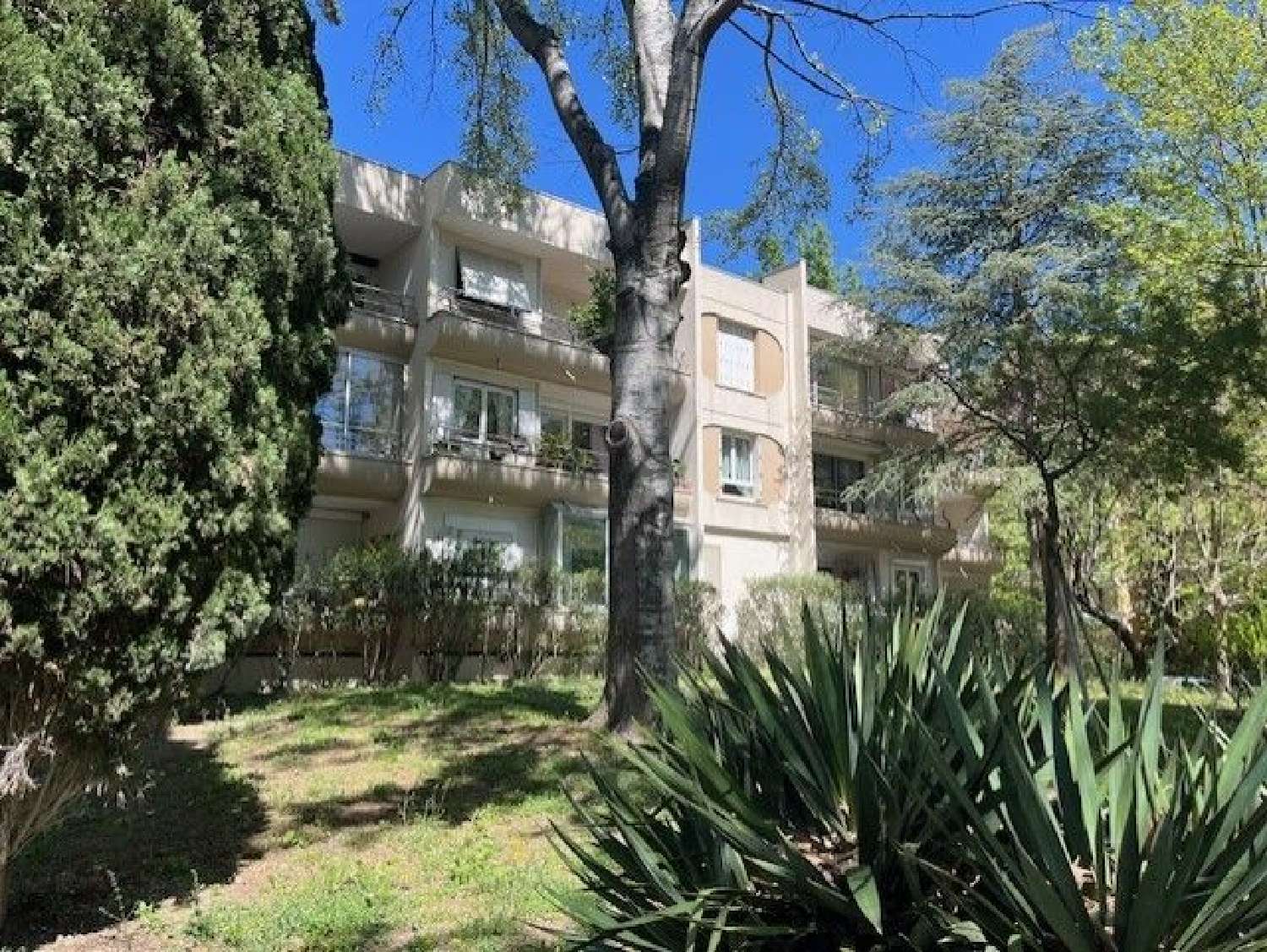  te koop appartement Montpellier Hérault 1